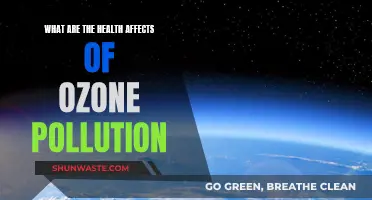 Ozone Pollution: Understanding Its Impact on Our Health