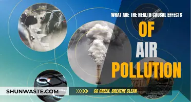 Air Pollution: Understanding Its Health Impact