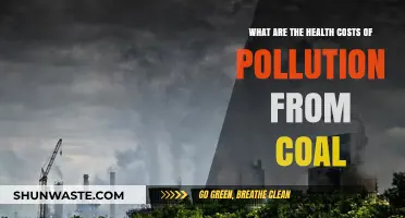 Coal Pollution: A Lethal Health Cost