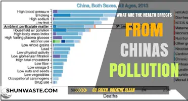 China's Pollution: Understanding the Health Impact