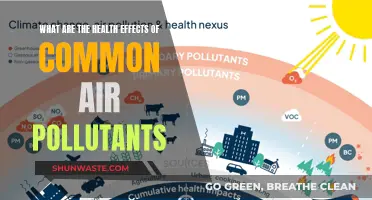 Air Pollutants: Their Impact on Our Health