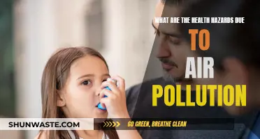 Air Pollution: A Silent Health Hazard