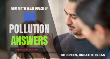 Air Pollution: Its Health Impacts and Answers