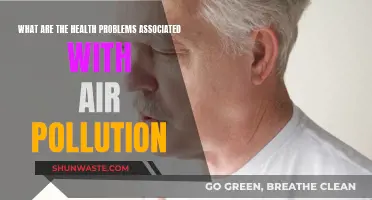 Air Pollution: Health Hazards and Risks