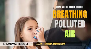 Breathing Polluted Air: Understanding the Health Risks