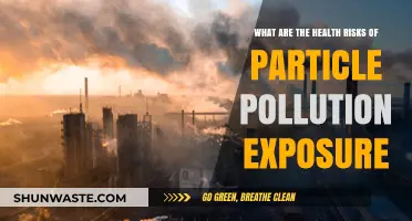 Particle Pollution: Health Risks and Dangers