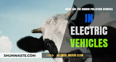 Electric Vehicle Pollution: What's the Hidden Cost?