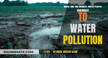 Unveiling the Top Contributors to Water Pollution: A Comprehensive Guide