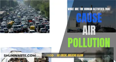 Human Activities Polluting Our Air