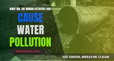 Unveiling the Hidden Culprits: Human Activities Behind Water Pollution