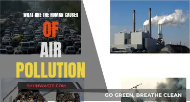Human Activities: Air Pollution's Root Cause