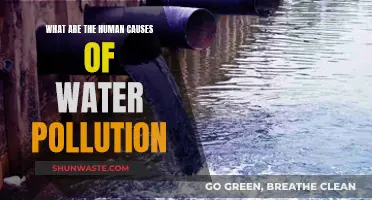 Human Impact: Uncovering Water Pollution's Hidden Causes