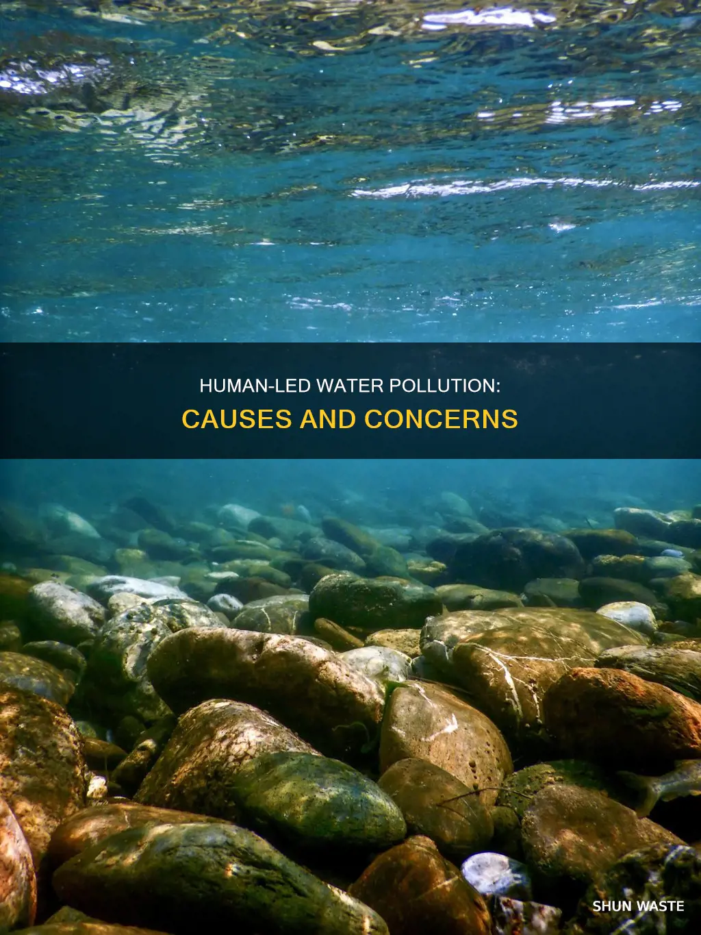 what are the human causes of water pollution