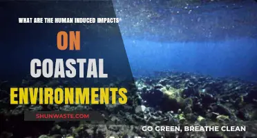 Human Activities Threatening Coastal Ecosystems: Causes and Consequences