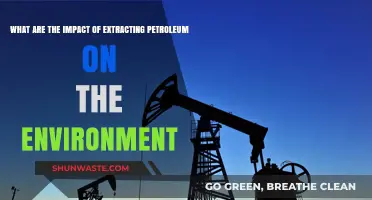 Environmental Consequences of Petroleum Extraction: A Comprehensive Analysis