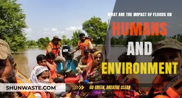 Floods' Devastating Effects on Human Lives and Ecosystems