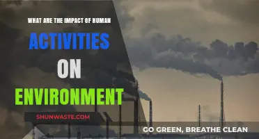 Human Activities and Their Environmental Impact: A Comprehensive Overview