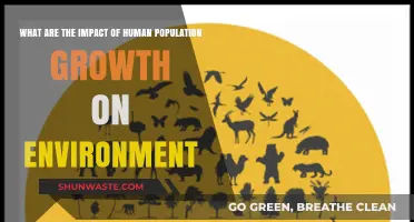 Human Population Growth: Environmental Impacts and Sustainability Challenges