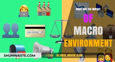 Macro Environment's Impact: Shaping Businesses, Economies, and Global Trends