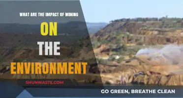 Mining's Environmental Impact: Consequences, Challenges, and Sustainable Solutions