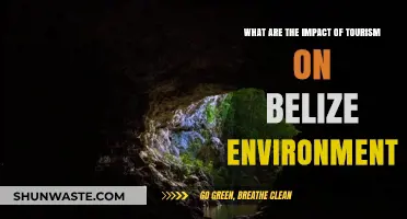 Exploring Tourism's Environmental Impact on Belize's Fragile Ecosystems