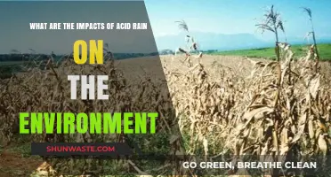 Acid Rain's Devastating Effects on Ecosystems and Environmental Health