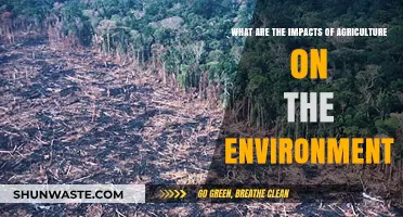 Agriculture's Environmental Impact: Challenges and Sustainable Solutions Explored