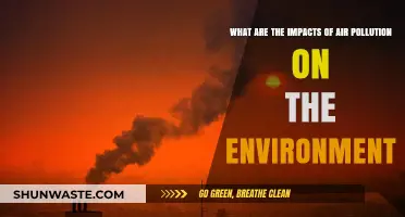 Air Pollution's Devastating Effects on Our Environment and Ecosystems