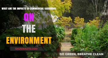Commercial Gardening's Environmental Impact: Benefits, Challenges, and Sustainable Solutions