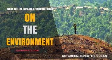 Devastating Effects of Deforestation on Ecosystems and Climate Change