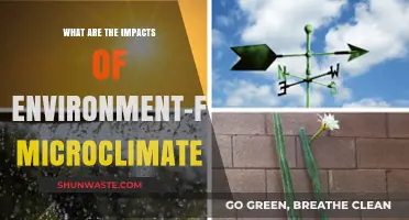 Eco-Friendly Microclimates: Transforming Local Ecosystems and Global Sustainability