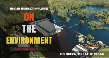 Flooding's Devastating Environmental Impacts: Consequences and Long-term Effects
