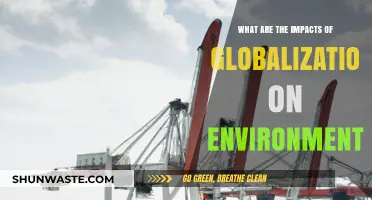 Globalization's Environmental Impact: Challenges, Consequences, and Sustainable Solutions