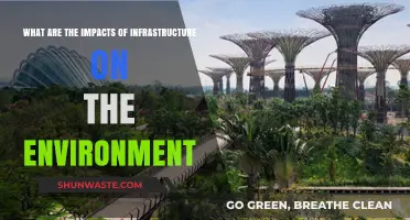 Infrastructure's Environmental Impact: Balancing Development and Ecological Sustainability