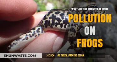 Light Pollution: Frogs at Risk