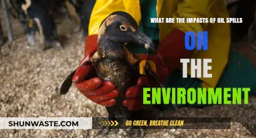 Devastating Effects of Oil Spills on Ecosystems and Wildlife
