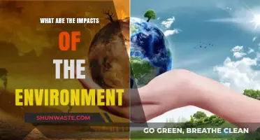 Environmental Impacts: Shaping Ecosystems, Health, and Our Future World