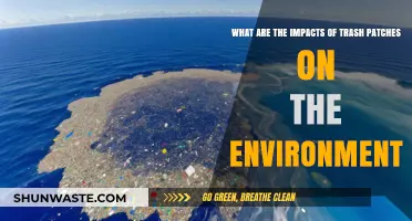 Trash Patches: Devastating Environmental Impacts and Urgent Solutions Needed