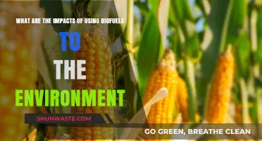 Biofuels and the Environment: Benefits, Drawbacks, and Sustainability Impacts
