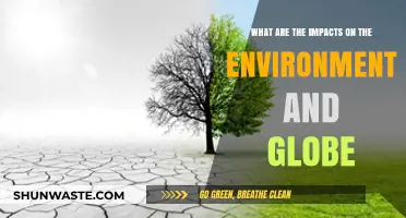 Environmental Impacts: Global Consequences of Human Actions and Climate Change