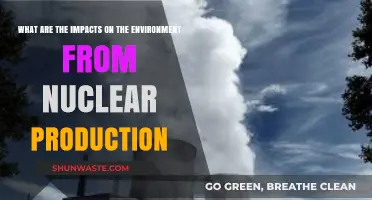 Nuclear Production's Environmental Impact: Risks, Benefits, and Sustainability Challenges