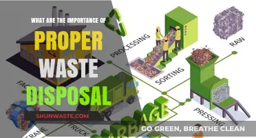 Eco-Friendly Habits: The Crucial Role of Proper Waste Disposal
