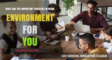 Cultivating Success: Key Qualities for an Ideal Work Environment