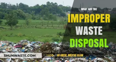 The Hidden Dangers of Improper Waste Disposal: A Comprehensive Guide