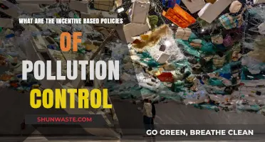 Incentivizing Pollution Control: Effective Policy Strategies