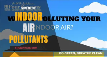 Air Quality Alert: Indoor Pollutants Revealed