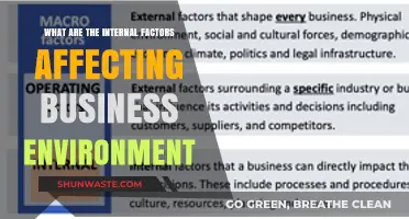 Internal Factors Shaping Your Business Environment: A Comprehensive Guide