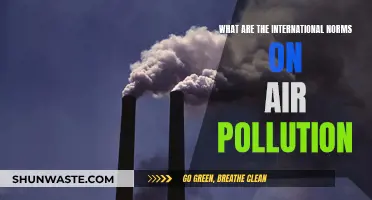 International Air Pollution: Global Standards and Protocols