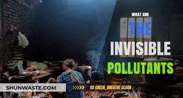 The Sneaky Side of Pollution: Invisible Pollutants