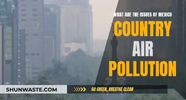 Mexico's Air Pollution: A Critical Issue